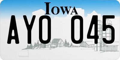 IA license plate AYO045