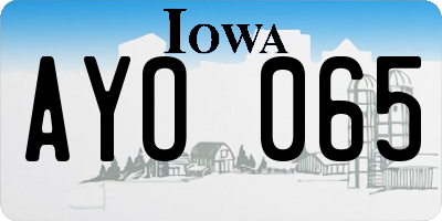 IA license plate AYO065