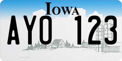 IA license plate AYO123