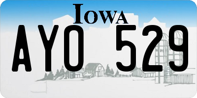 IA license plate AYO529