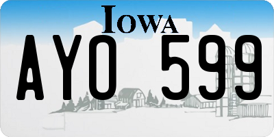 IA license plate AYO599