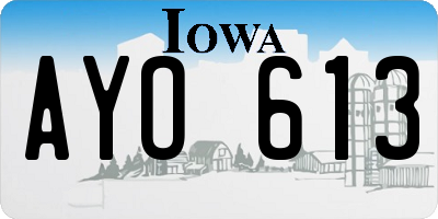 IA license plate AYO613
