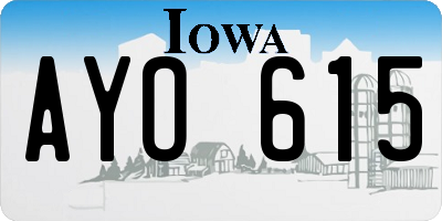 IA license plate AYO615