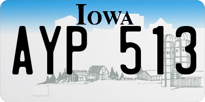 IA license plate AYP513
