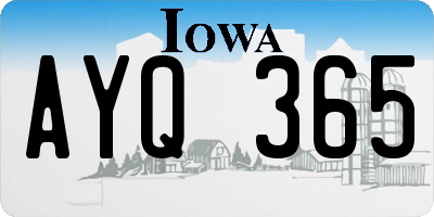 IA license plate AYQ365