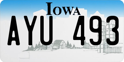 IA license plate AYU493