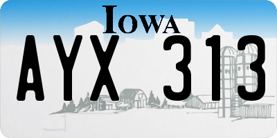 IA license plate AYX313