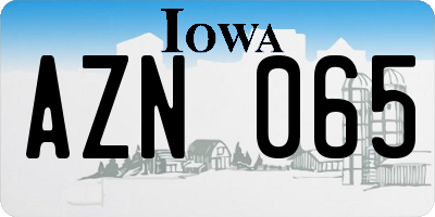 IA license plate AZN065