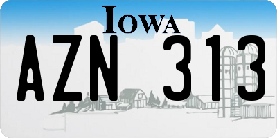 IA license plate AZN313