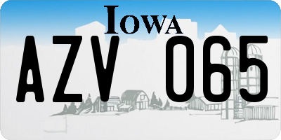 IA license plate AZV065