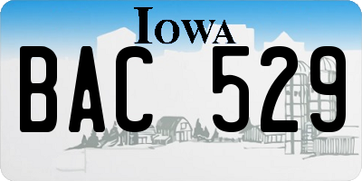 IA license plate BAC529