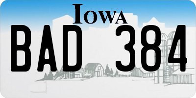 IA license plate BAD384