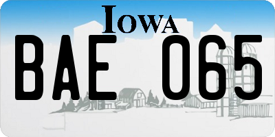 IA license plate BAE065