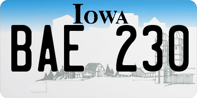 IA license plate BAE230