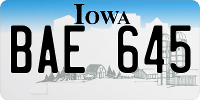 IA license plate BAE645