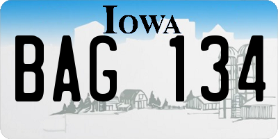 IA license plate BAG134