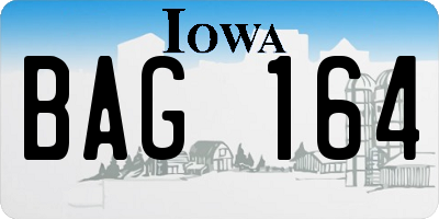 IA license plate BAG164