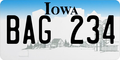 IA license plate BAG234