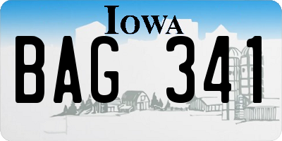 IA license plate BAG341