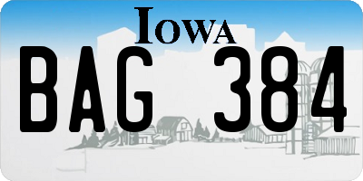 IA license plate BAG384