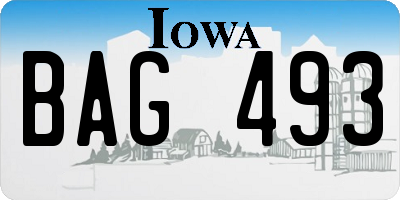 IA license plate BAG493