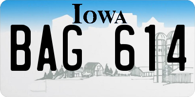 IA license plate BAG614