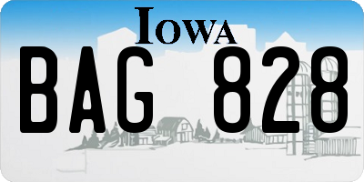 IA license plate BAG828