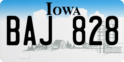 IA license plate BAJ828