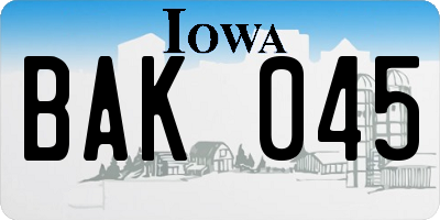 IA license plate BAK045