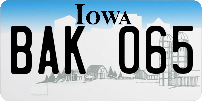 IA license plate BAK065