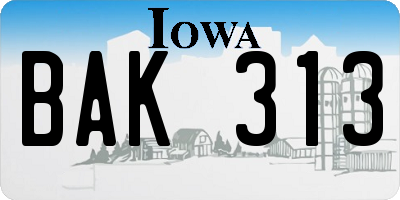 IA license plate BAK313