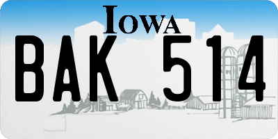 IA license plate BAK514