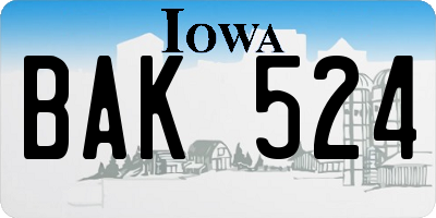 IA license plate BAK524