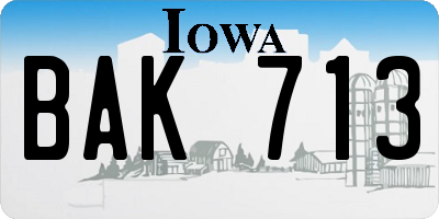 IA license plate BAK713