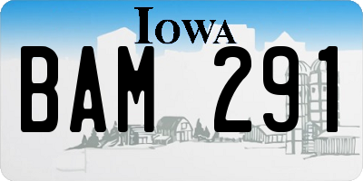IA license plate BAM291