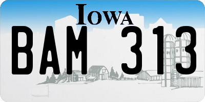 IA license plate BAM313