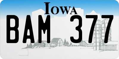 IA license plate BAM377