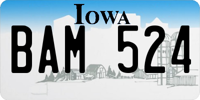IA license plate BAM524