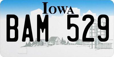 IA license plate BAM529