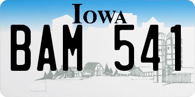 IA license plate BAM541