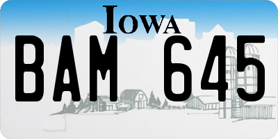 IA license plate BAM645