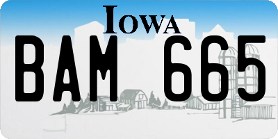 IA license plate BAM665
