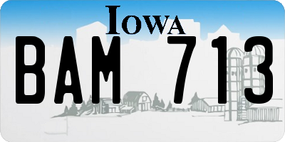 IA license plate BAM713