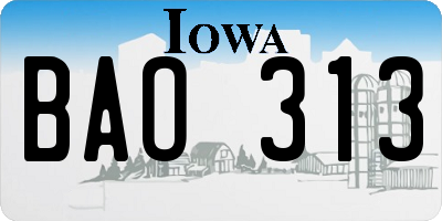 IA license plate BAO313