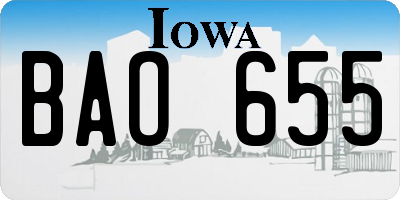 IA license plate BAO655