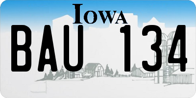 IA license plate BAU134