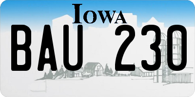 IA license plate BAU230