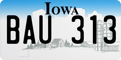IA license plate BAU313