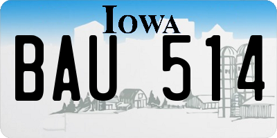 IA license plate BAU514