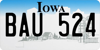 IA license plate BAU524